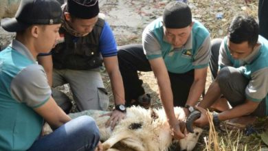 Adab dalam Ibadah Qurban
